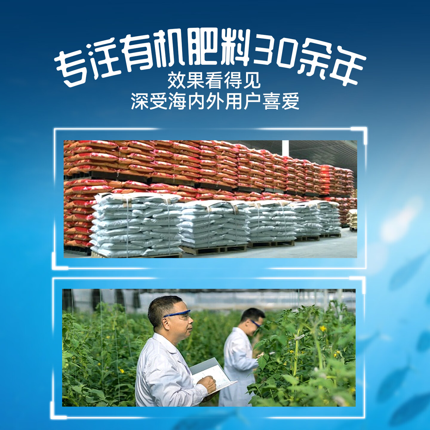 花丁通用型水溶肥月季多肉盆栽绿植花卉园林花肥肥料营养液 绿植花卉通用型600ML