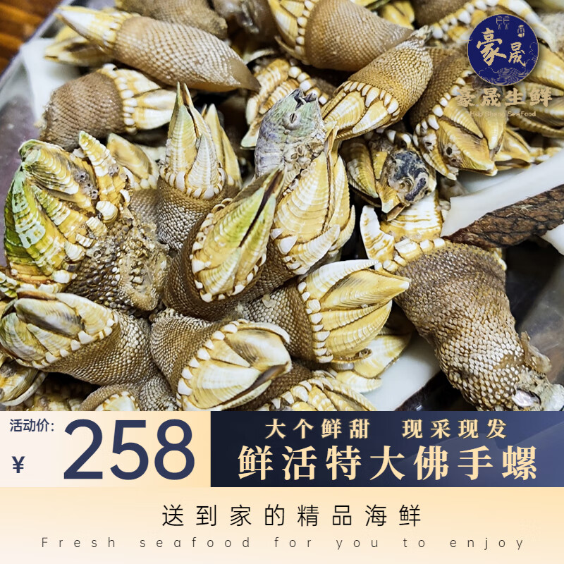 榕毅鲜生佛手螺大连鹅颈藤壶大个鲜甜海鲜水产鲜活海鸡脚螺狗爪螺 【2
