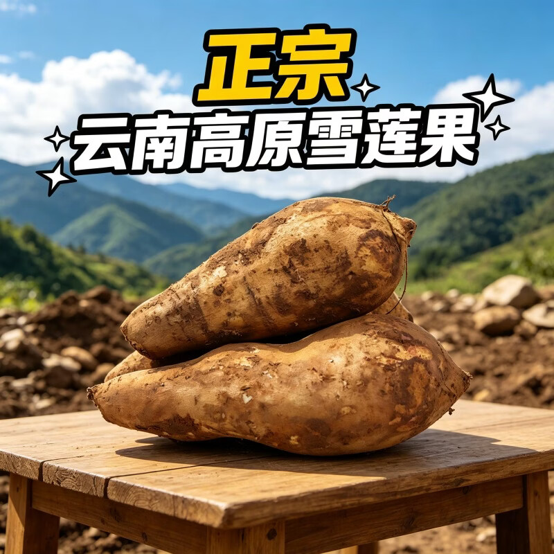 正宗云南天山雪莲果新鲜应季低糖水果脆甜多汁整箱批发 优选1斤中小果试吃装(单果100克以上)