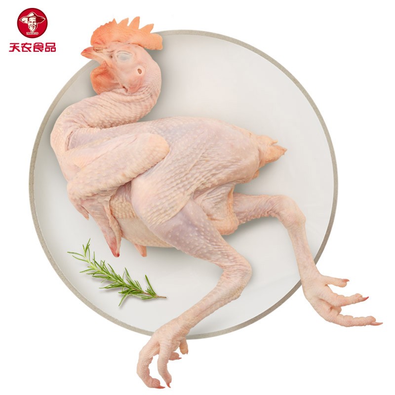 天农食品 清远鸡小公鸡600g整只 冷冻新鲜鸡肉 农家散养童子鸡 清蒸