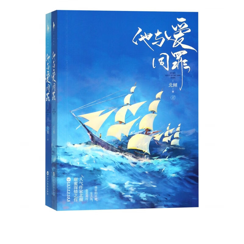 【赠人物立卡】他与爱同罪 北倾 著