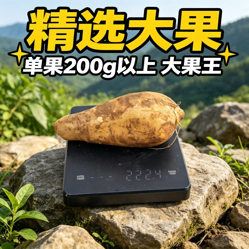 正宗云南天山雪莲果新鲜应季低糖水果脆甜多汁整箱批发 优选1斤中小果试吃装(单果100克以上)