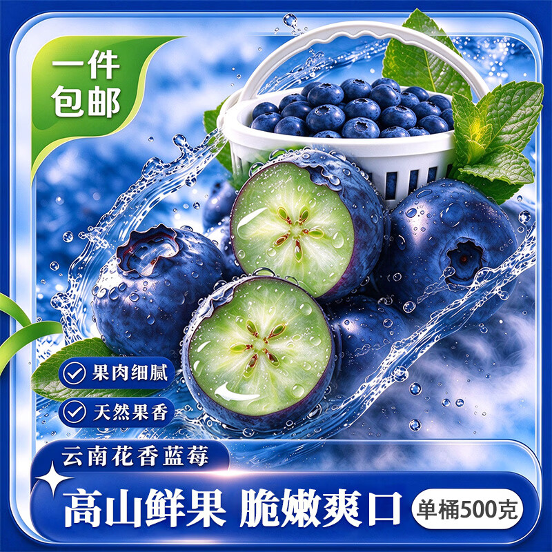 JD快递 云南蓝莓 生鲜水果 源头直发 单盒净重100g 花香蓝莓15mm+ (500g一桶)*2