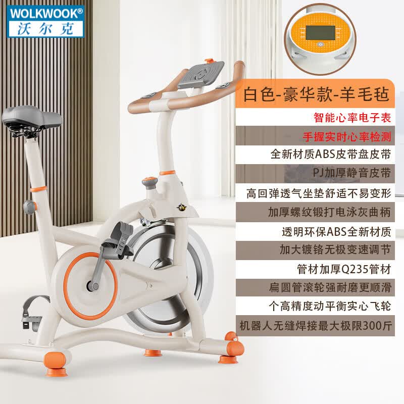 智能燃脂动感单车磁控家用减肥健身室内单车自行车器材静音运动 白色-豪华款-羊毛毡飞轮