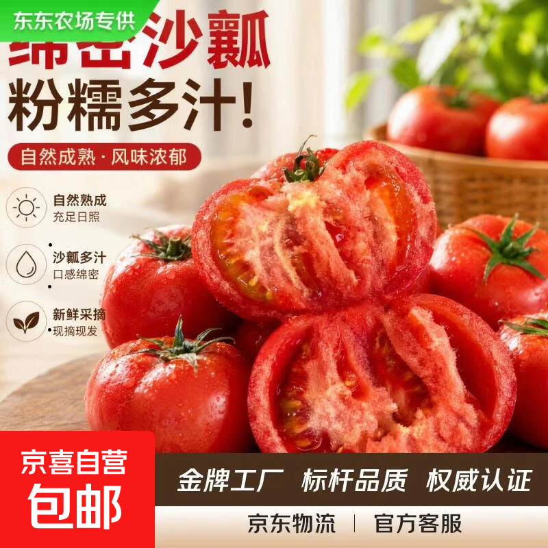 【东东农场专供】新鲜水果西红柿沙瓤自然熟番茄番茄 单果120g+ 高原生态番茄 5斤