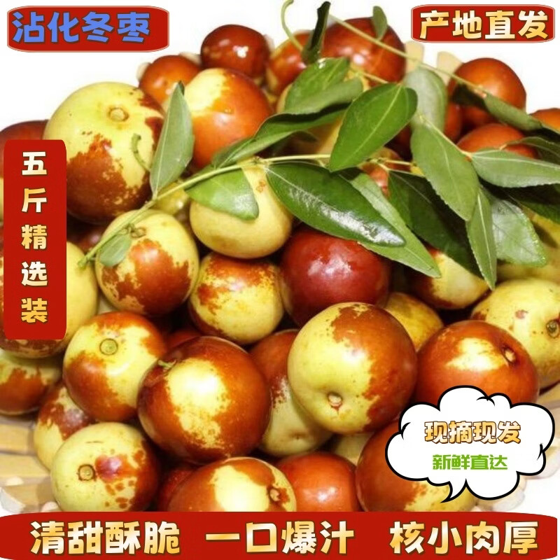 沾化冬枣正宗冬枣脆甜新鲜整箱山东沾化冬枣 5斤产地直发送礼佳品 大果单果均重20g及以上 带箱5斤-5.7斤