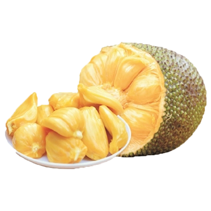 保蓉生鲜水果俱乐部海南菠萝蜜黄肉干苞新鲜水果热带特产水果 （很软很香才能切开） 15-19斤