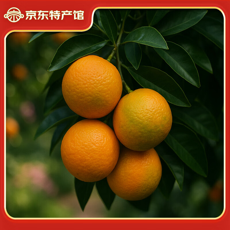赣南脐橙正宗赣南脐橙 江西赣州橙子手剥橙新鲜水果礼盒当季现摘时令生鲜 5斤优选单果150-330g净重4.5斤+