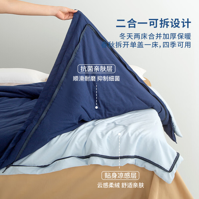 ELLE DECO2026新款二合一被芯可水洗控温被子四季通用冬被保暖家用床品 绯枝暖絮 200cm*230cm