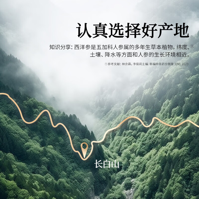 北京同仁堂西洋参片礼盒花旗参送父母长辈礼品春节年货礼盒 5号圆片 100g*1盒 1.0-1.2cm