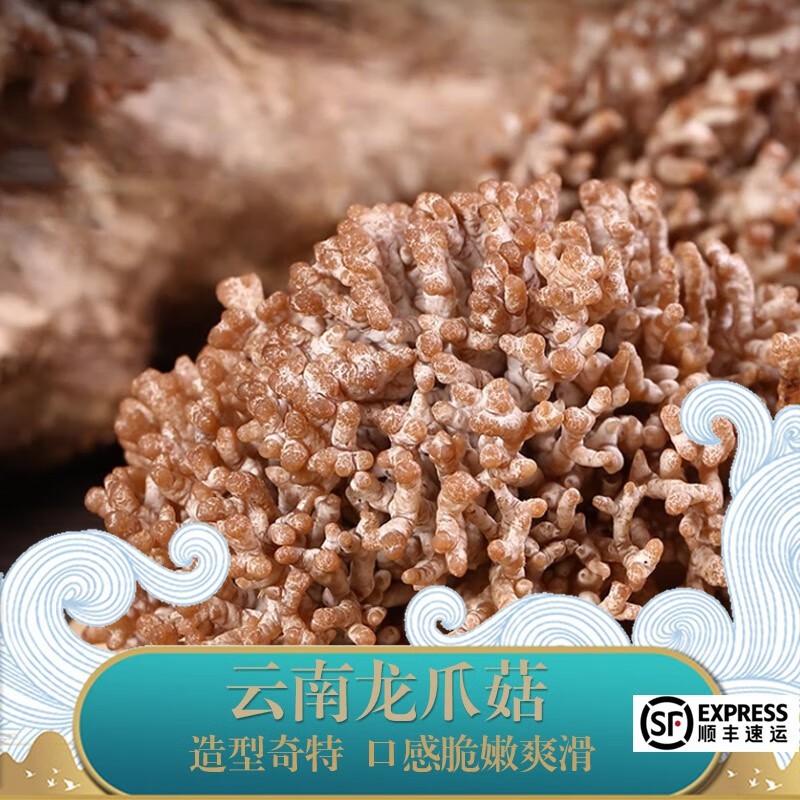 山肴野蔌新鲜龙爪菇1kg 猫爪菇老鼠爪鸡爪菇特色食材蘑菇野生菌云南菌