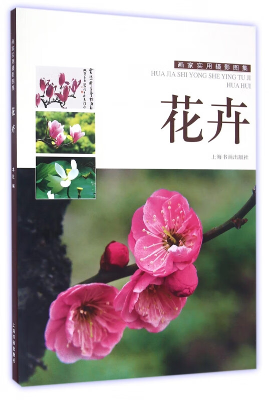 花卉(画家摄影图集)