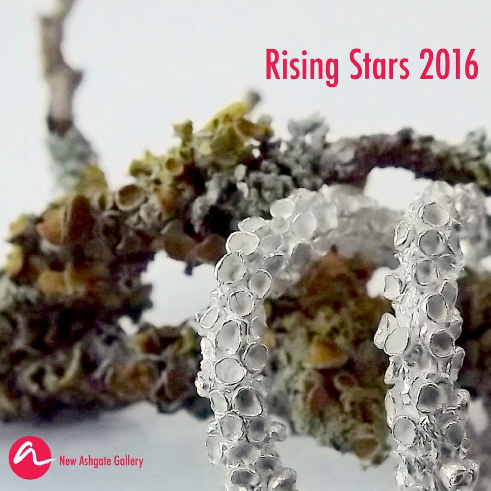 【预售 按需印刷】rising stars 2016