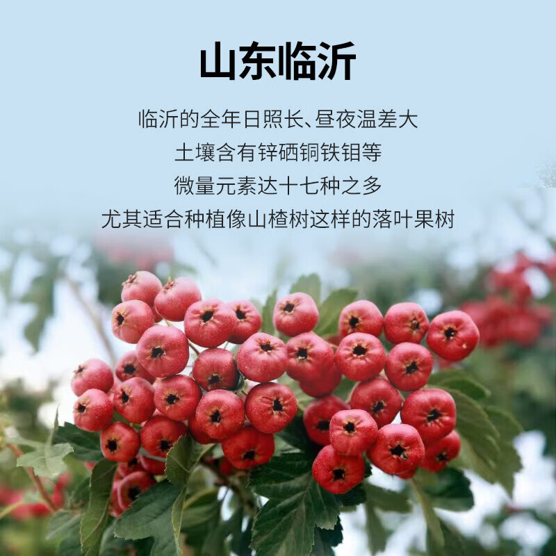 呈鲜果农水果山楂 甜红子山楂 26年新果 JD包邮送货上门 3斤装一级果单果5-10g净重2.5-3斤