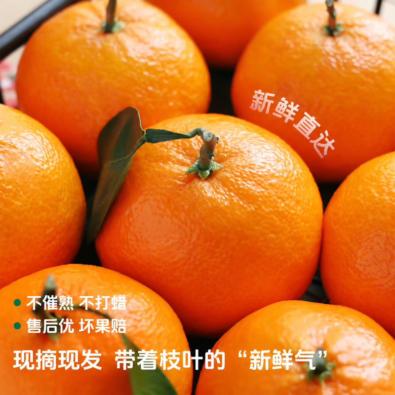 勇者无惧爱媛果冻橙新鲜橙子当季手剥橙水果新鲜采摘【礼箱装】 净重4.5斤【果王200g+】礼箱装