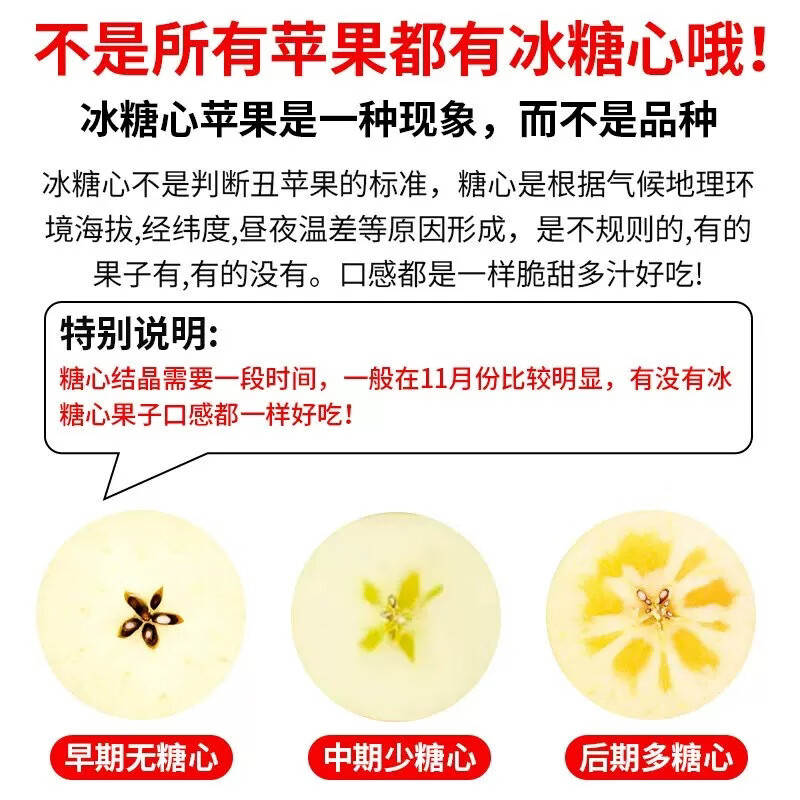 齐鲁盛宝园大凉山丑苹果 高山冰糖心苹果  脆甜红富士应季时令新鲜水果整箱 净重4.5-5斤单果70-80mm