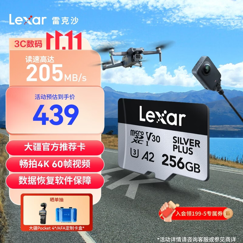 雷克沙（Lexar）256GB TF(MicroSD)存储卡 V30 4K 读205MB/s 大疆Pocket 4P官方推荐 影石Luna内存卡(SILVER PLUS)