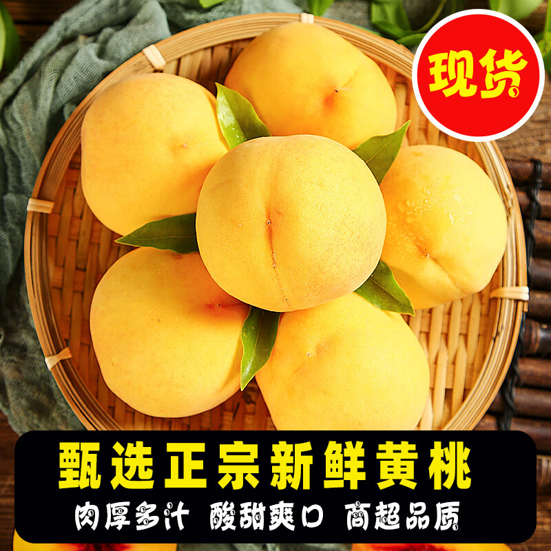 采缇【现货】正宗砀山新鲜黄桃水果 桃子新鲜黄金蜜桃子黄肉蜜桃当季
