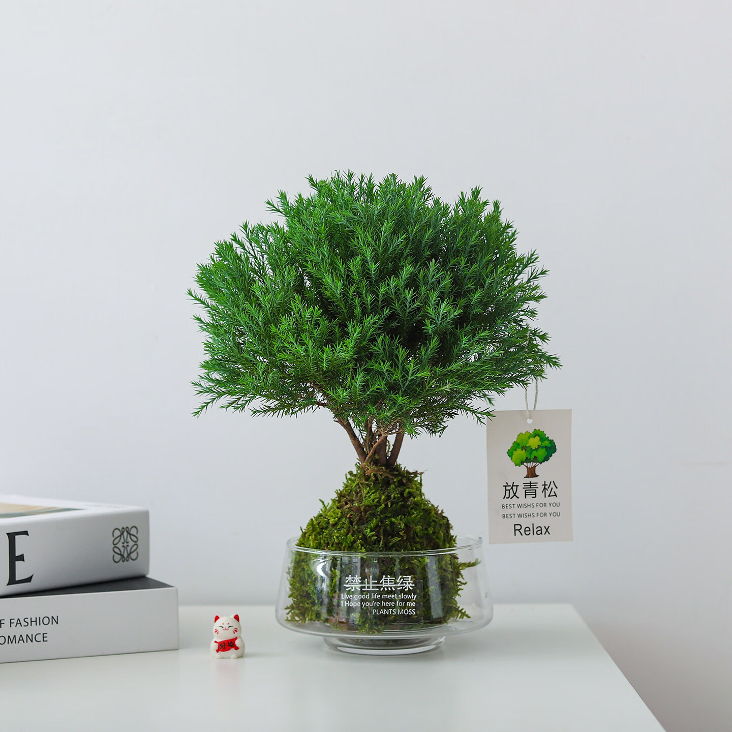八芽【放青松】雾凇盆栽苔藓球植物办公室内桌面创意好养绿植花卉盆景 大雾松-苔藓球-禁止焦虑水培玻璃盆-放青松贺卡 苔藓球