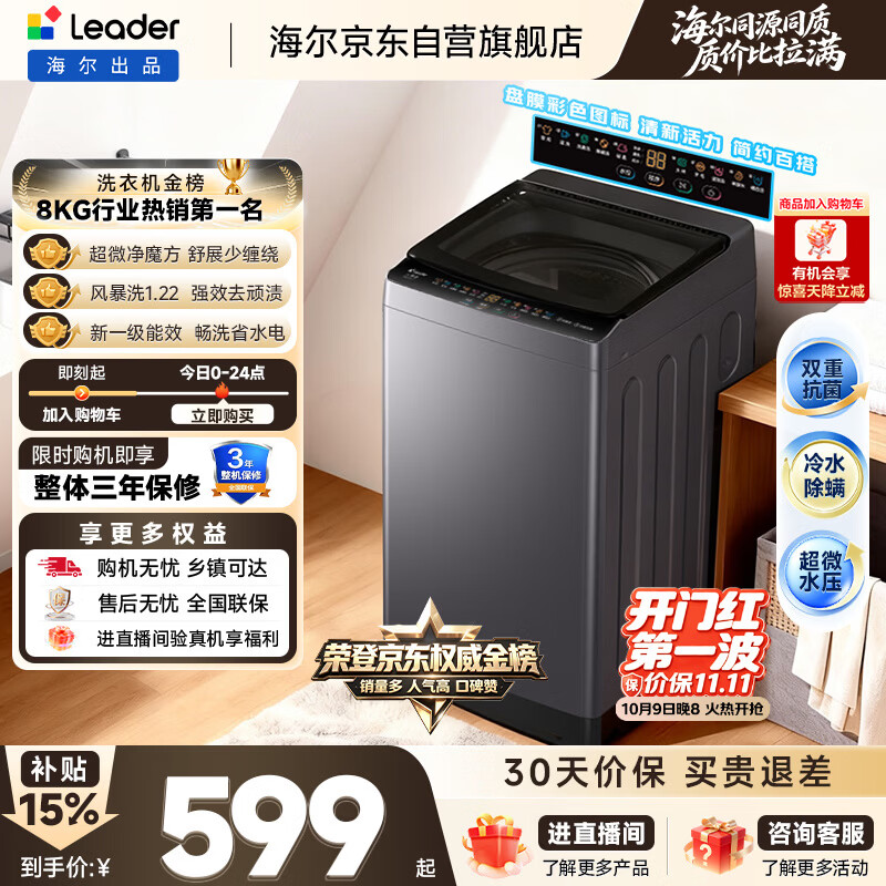 海尔（Haier）出品统帅全自动波轮洗衣机 出租房8.2公斤一级能效家用 京东自营以旧换新国家补贴XQBL82-M20D1