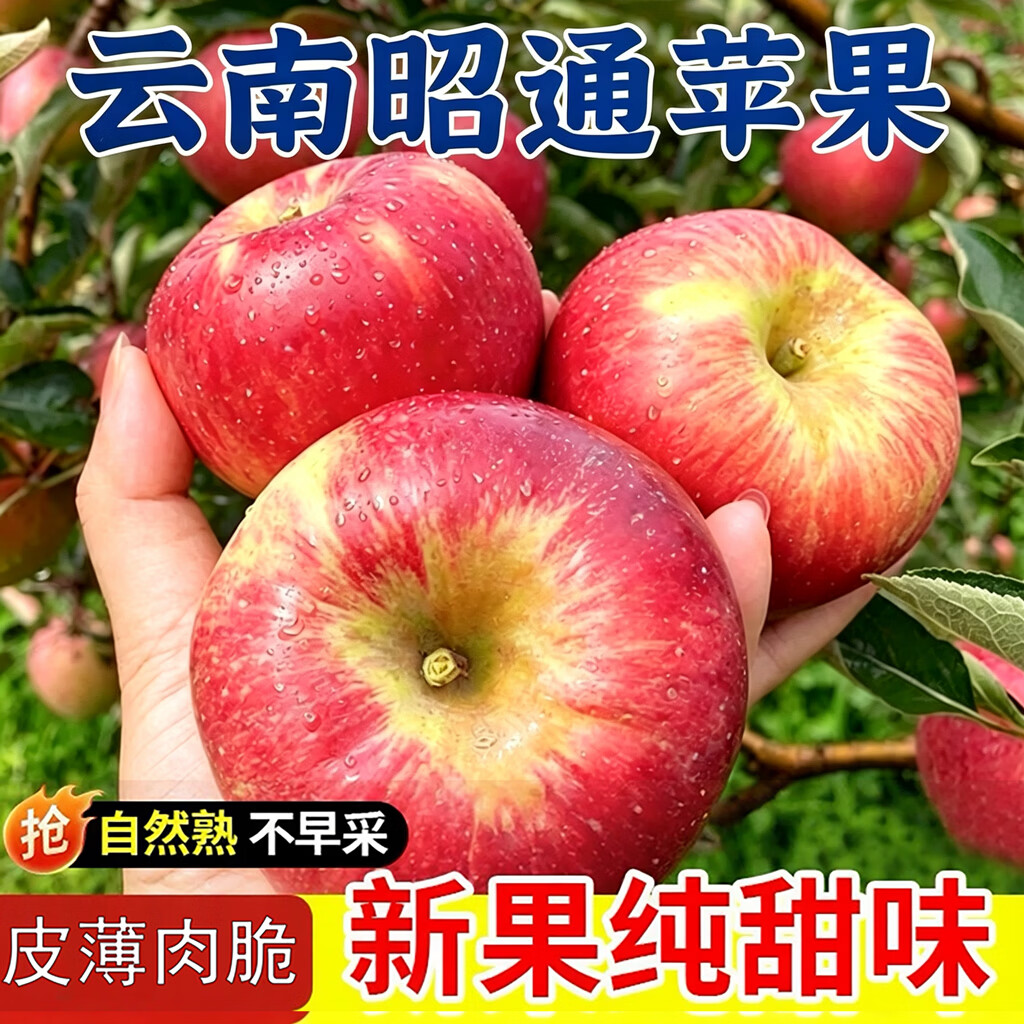 贡鲜果农云南昭通丑苹果净4.5斤 22.89元 - 86线报