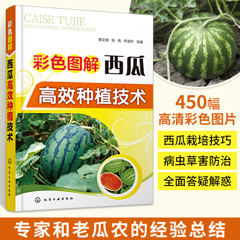嫁接技术书籍大全病虫害防治育苗育种教程书棚室西瓜棚室西瓜高效栽培
