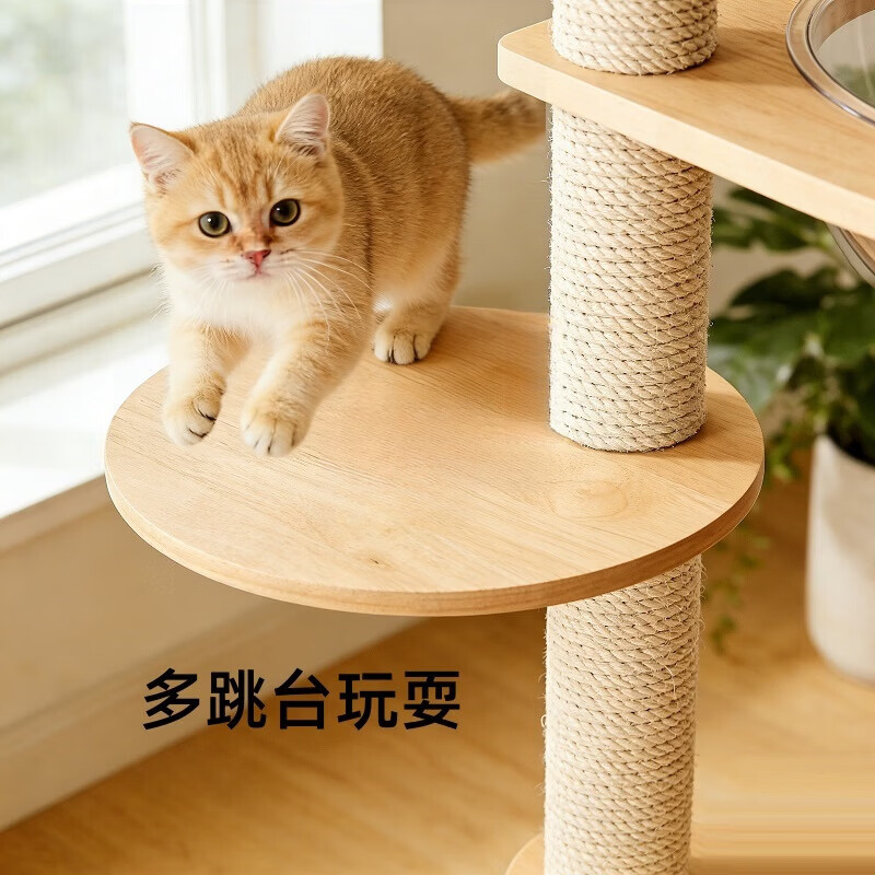 猫爬架猫窝猫树一体猫咪玩具用品太空舱小户型不占地家用猫架子 开放式猫窝【剑麻柱+双太空舱】升级双舱