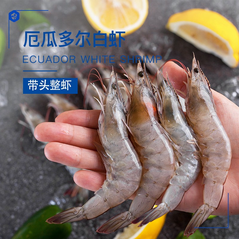 acornfresh 严选厄瓜多尔白虾欧盟有机认证 单次冷冻大虾海虾 火锅