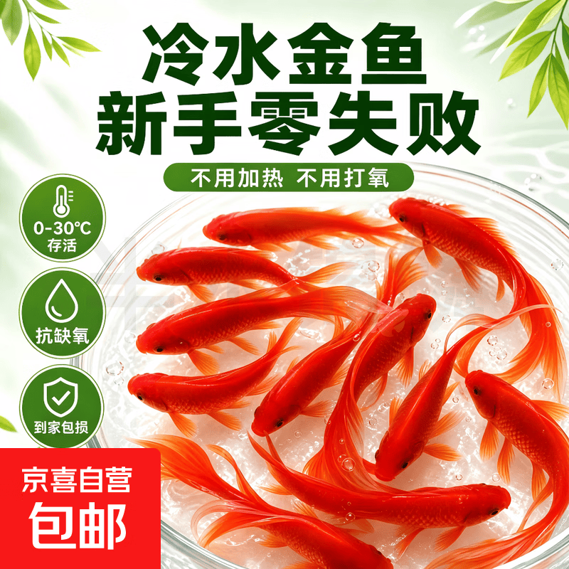 金鱼草观赏鱼2-4cm红草金买10条送10条 2.9元 - 86线报