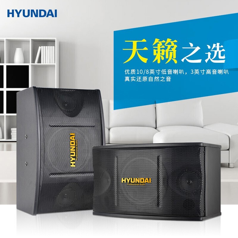 hyundai现代音响卡包音箱 家庭影院ktv音响 会议室舞蹈教室演出门店餐