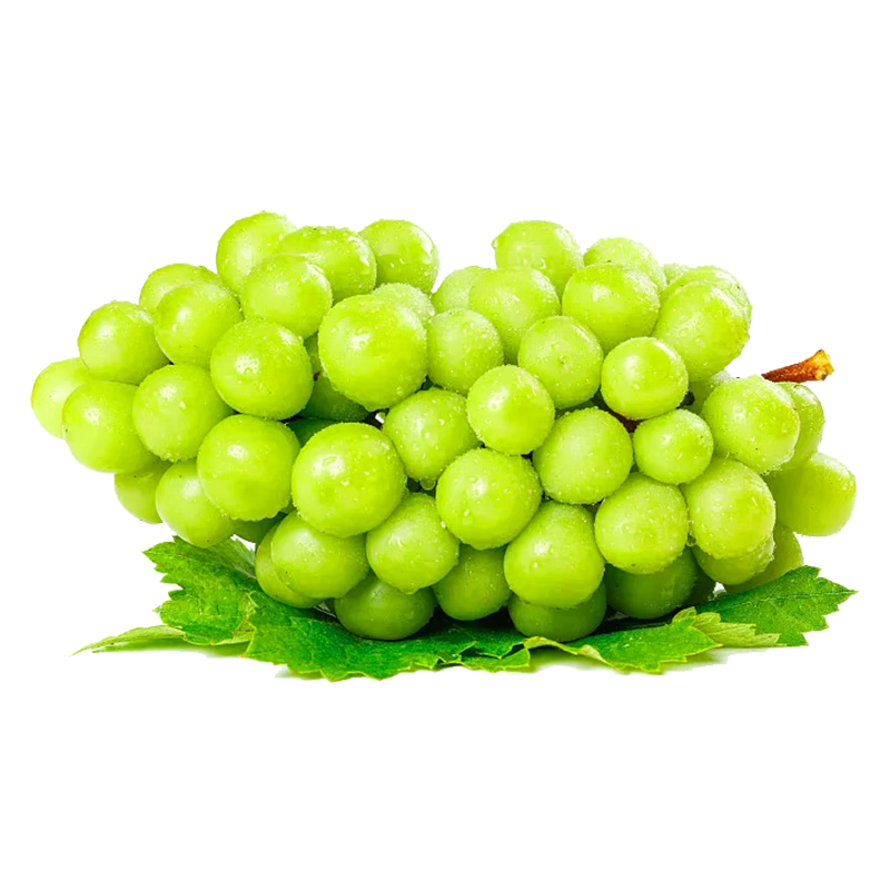 ǰ����������õ�������ؼ���Ʒ���Ѵ���������ӡ��������ˮ����� ����8-10g5�����װ