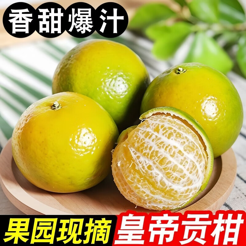 豔疅正宗广西皇帝柑新鲜当季水果大果青黄皮蜜桔柑橘橙子酸甜多汁生鲜 净重4.8-5斤【中果】约29-30个|单果55-60mm