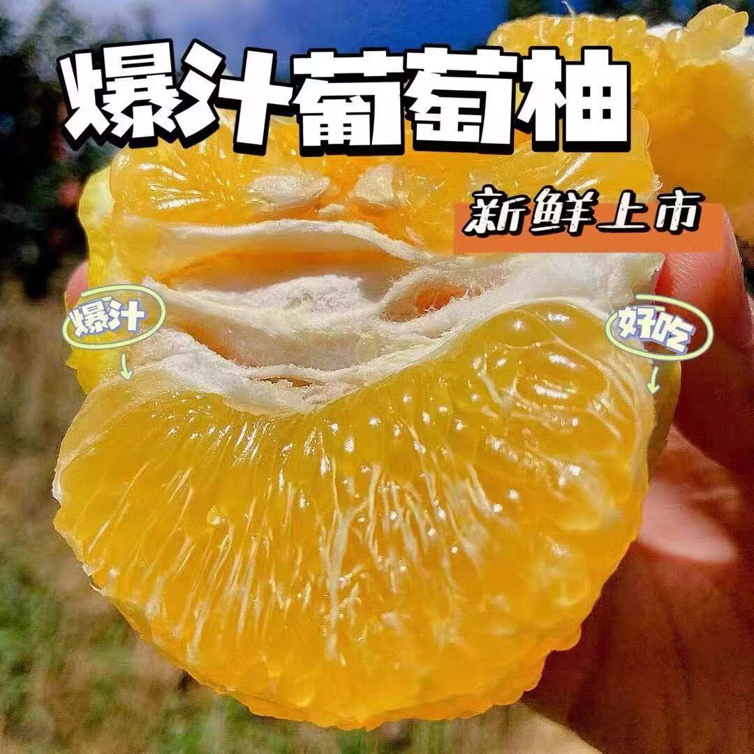 果迎鲜爆汁葡萄柚福建平和当季黄金葡萄柚薄皮柚子西柚孕妇新鲜应季水果 净重4.5斤装
