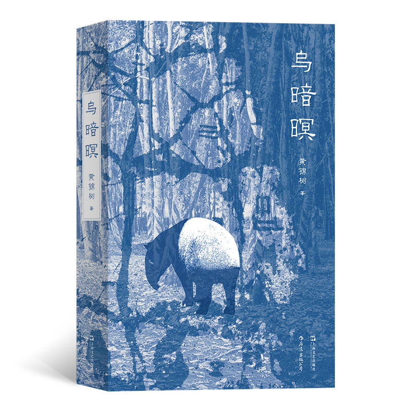 乌暗暝（北京大学“世界华文文学奖”获奖作品《雨》作者马华文学作家黄锦树，早期代表作品全收录）