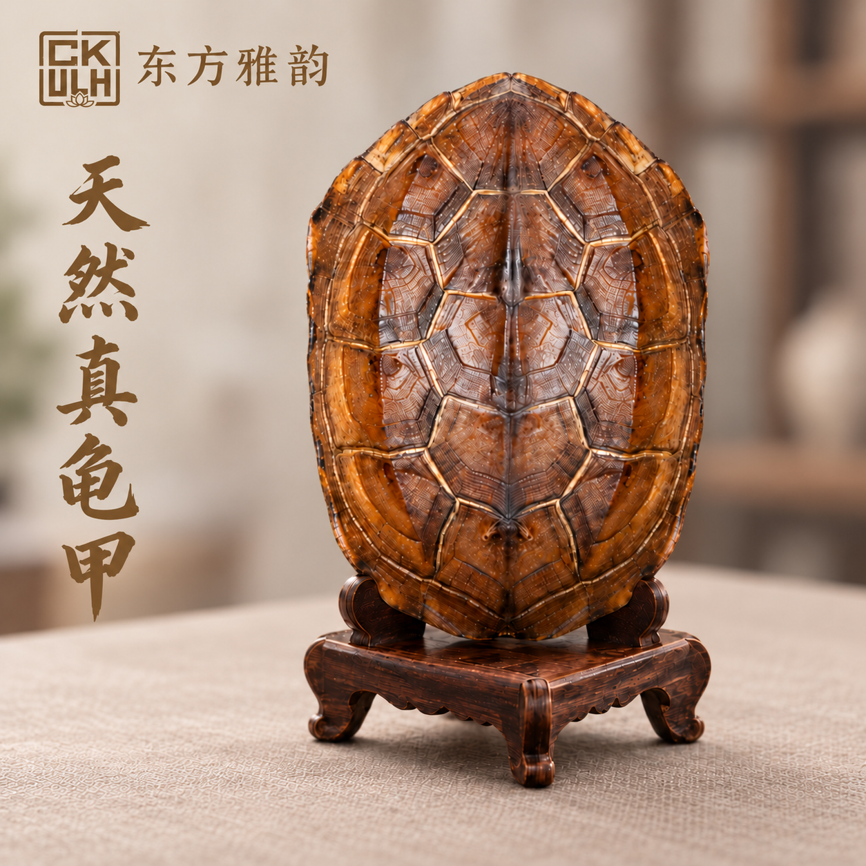 六爻占卜龟壳免费版怎么用的简单介绍 六爻占卜龟壳免费版怎么用的简单介绍