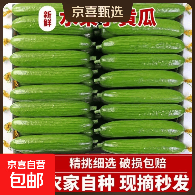 寿光新鲜现摘水果小黄瓜嫩青瓜生吃蘸酱脆甜无刺农家蔬菜 【商超精品】5斤（净重4.5斤）
