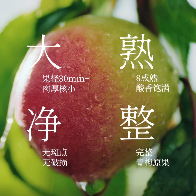 梅见12度金桂桂花青梅原味梅见梅子酒多口味组合低度微醺果酒送礼 金桂+乌梅+超酸(光瓶)150ml*3