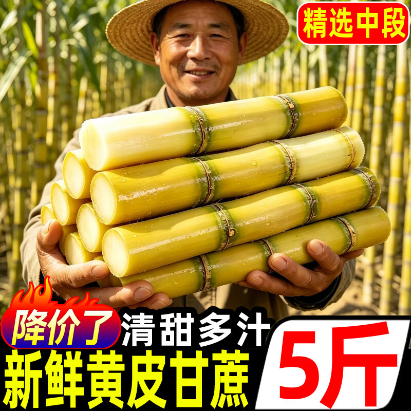 豔疅正宗广西黄皮甘蔗特产新鲜应当季生鲜水果整箱热带水果黄皮脆甜蔗 净重9-10斤【精选中段|配刀】砍断发货
