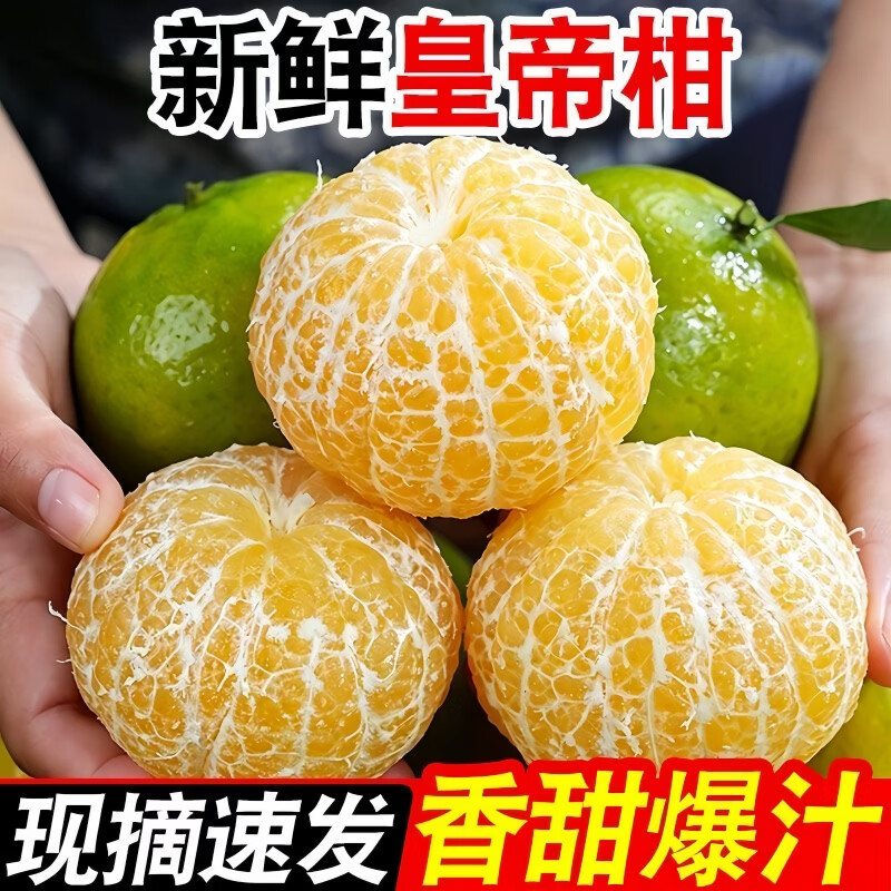 豔疅正宗广西皇帝柑新鲜当季水果大果青黄皮蜜桔柑橘橙子酸甜多汁生鲜 净重4.8-5斤【中果】约29-30个|单果55-60mm