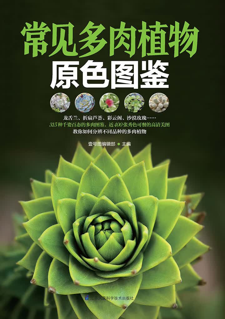 常见多肉植物原色图鉴(推荐pc阅读)