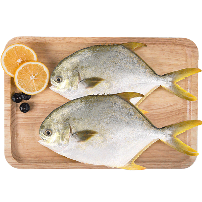 翔泰冷冻海南金鲳鱼700g 2条 生鲜鱼类 深海鱼  烧烤食材 海鲜水产