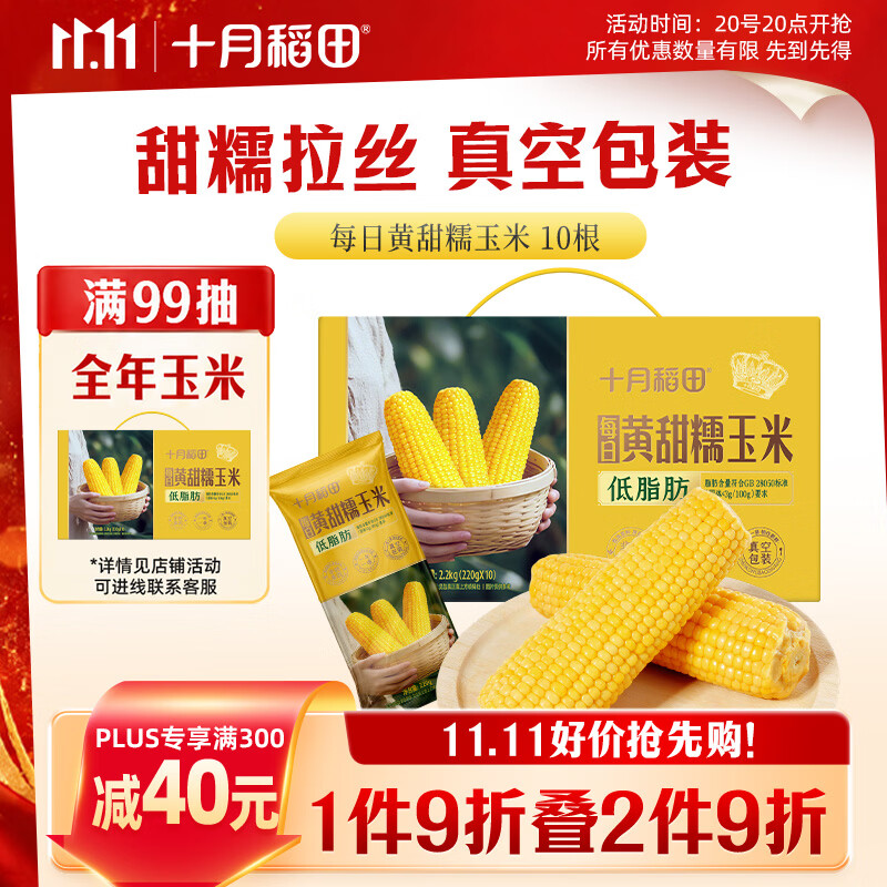 十月稻田 【新玉米·品种升级】黄甜糯玉米 10根 4.4斤 东北杂粮 粗粮礼盒