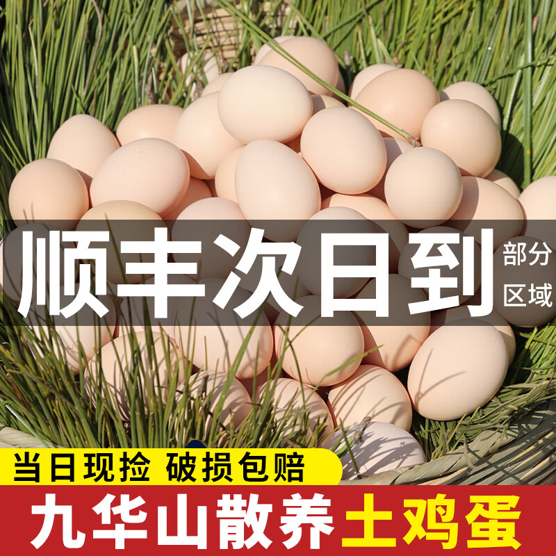 乡公馆九华山土鸡蛋 农家散养新鲜鸡蛋 柴鸡蛋 草鸡蛋 月子蛋 60枚2.7kg