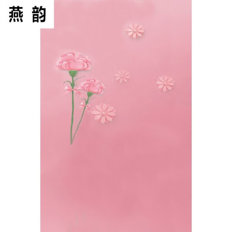 杨导直播背景布3d立体 高清直播间主播背景布3d立体背景布儿童摄影 xt