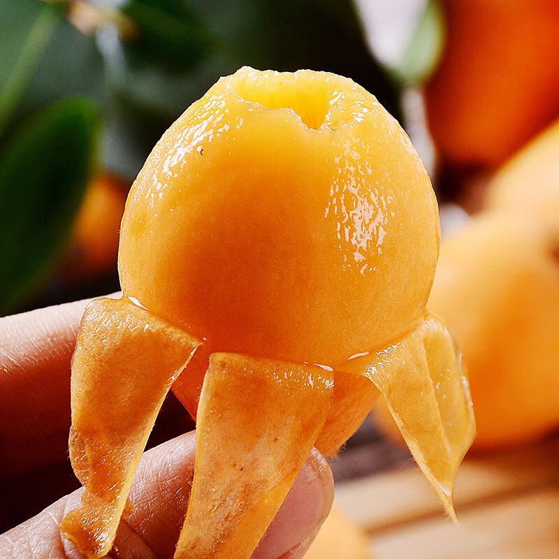 攸竹四川大五星枇杷 特大果甜枇杷 水果孕妇水果 单果30g以上超大果 1