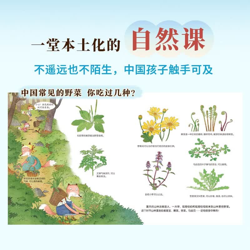 图 5