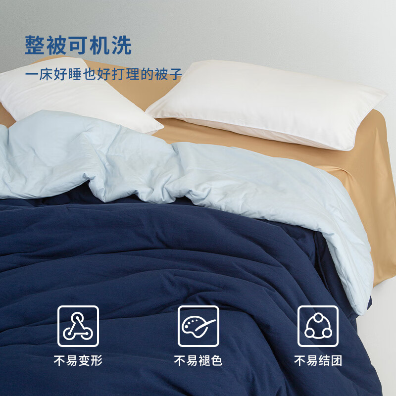 ELLE DECO2026新款二合一被芯可水洗控温被子四季通用冬被保暖家用床品 绯枝暖絮 200cm*230cm