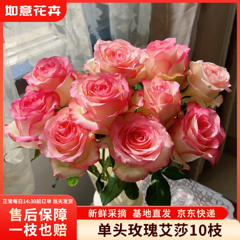 如意【艾莎】玫瑰花10枝如意基地鲜切花水养插花生活花束山东源头直发