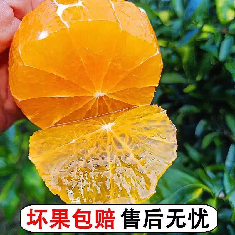薏品甄鲜四川爱媛果冻橙源头直发新鲜水果橙子酸甜口生鲜整箱 爱媛果冻橙净重4.5-5斤果60-65mm