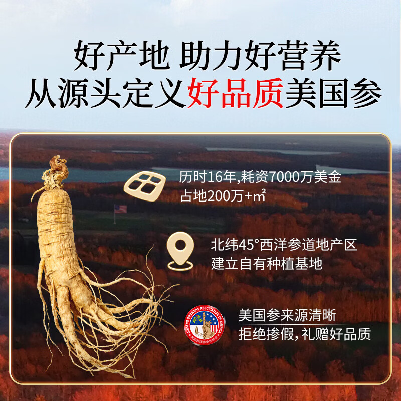 北京同仁堂美国西洋参花旗参礼盒2#200g西洋参礼盒春节年货礼盒 200g*1盒